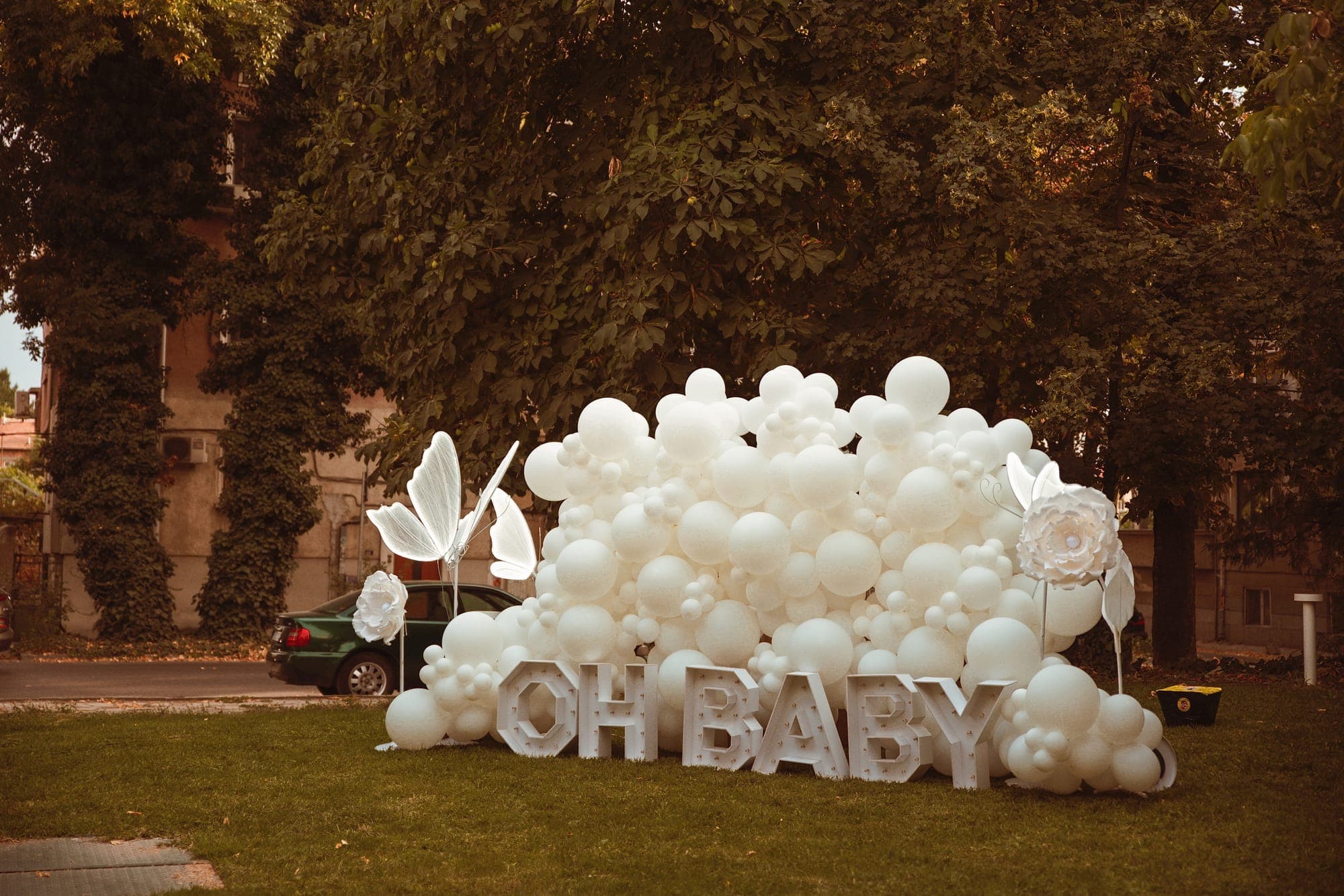 Gender Reveal — frame 2